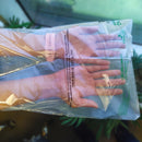 Shirt Bag, T-shirt bag, CPCB Certified Bags, Corn Starch Material, Dr. Bio Green Bags, Environmental Conscious Waste Disposal, Garment Packaging bags, Compostable Garment Packaging bags, Flap Bags