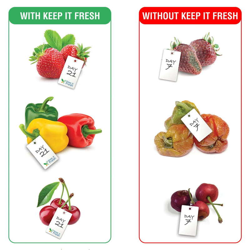 KEEP IT FRESH ZIP LOCK BAGS 12"x12" 10 Pcs | Re-Sealable Zipper for extending shelf life of Fruits, Vegetables and Flowers | Refrigerator bags | Usable up to 3 Months - Purchasekart