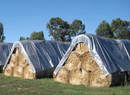 Protect Your Harvest: Tarpaulin Hay Cover for Reliable Crop Preservation - Purchasekart